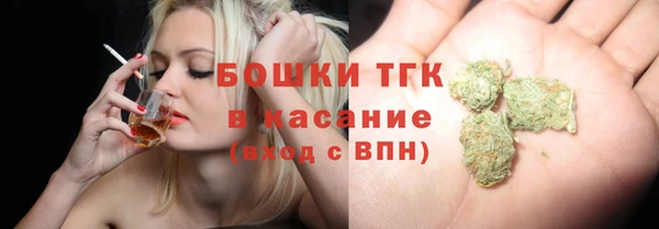 гидропоника Горнозаводск