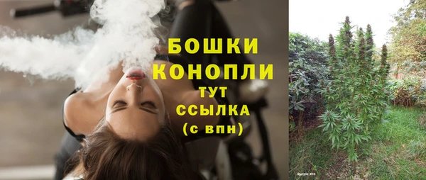 гидропоника Горнозаводск