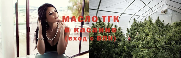 гидропоника Горнозаводск