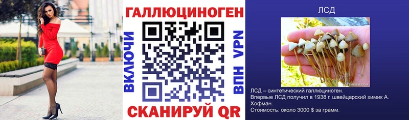 Галлюциногенные грибы MAGIC MUSHROOMS  Петрозаводск 